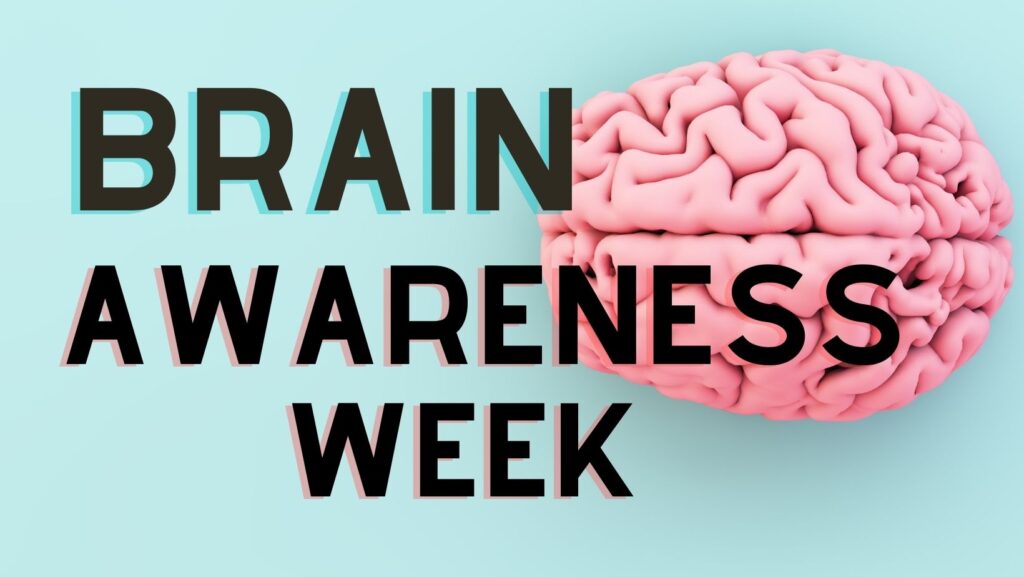 Your Mindful Brain A Brain Awareness Week Video for Kids American